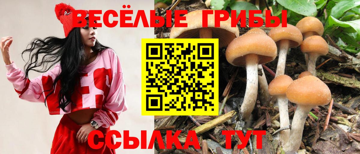 Галлюциногенные грибы мицелий  Вход с VPN  Лысьва 