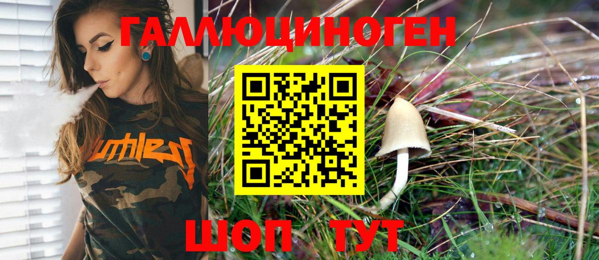 Псилоцибиновые грибы Psilocybine cubensis Лысьва